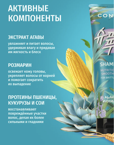 Consly ����������������� ������� � ������ � ����������, Agave & Rosemary Shampoo for Nutrition&Smoothness ���� 3