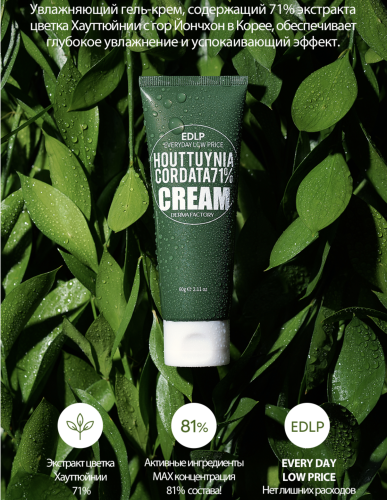 Derma Factory       , Houttuynia Cordata 71% Cream  4