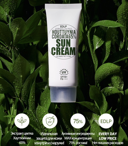 Derma Factory     , Houttuynia Cordata 65% Sun Cream SPF50+ PA+++  6