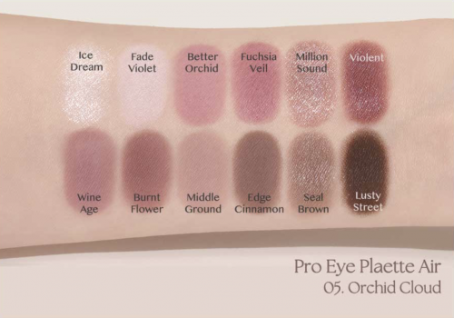 Clio     12 ,  05 Orchid Cloud, Pro Eye Palette Air  4