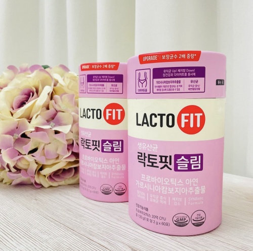 LACTO-FIT -      , 60   Lacto-Fit Chong Kun Dang Probiotics Slim  5