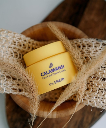 The SAEM  -      , Calamansi Pore Cool Down Cream  2