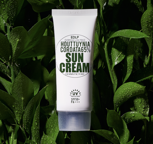 Derma Factory     , Houttuynia Cordata 65% Sun Cream SPF50+ PA+++  2