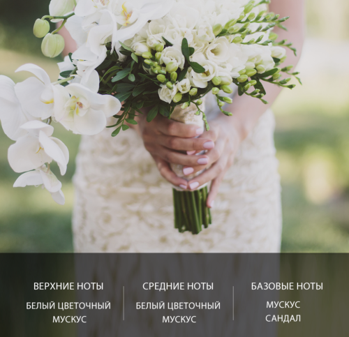 Derma Factory ���� ��� ��� � ������ �� "������", Shea Butter 10% Hand Cream Pure Musk ���� 5