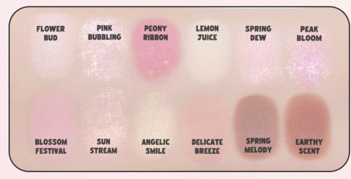 CLIO ����� ���������� + ������� ����� ��� ���, ������� 104 Gyeonghoeru Flower Festival, Disney Mickey In Seoul Pro Eye Palette Air ���� 6