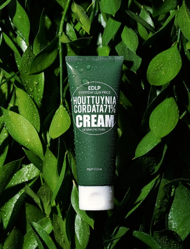 Derma Factory       , Houttuynia Cordata 71% Cream  2