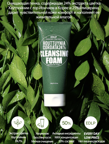 Derma Factory     , Houttuynia Cordata 24% Cleansing Foam  3